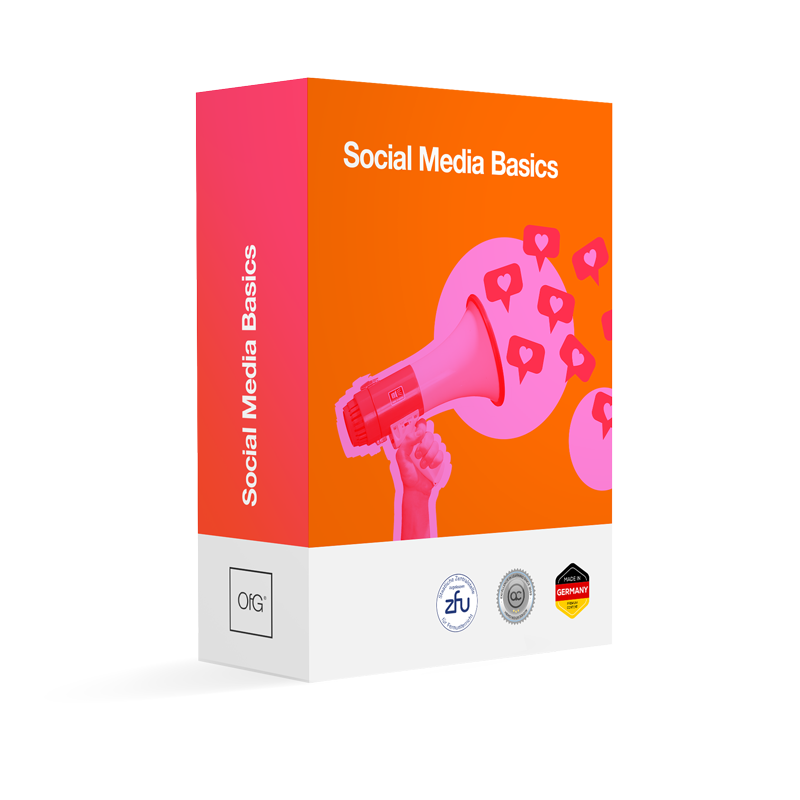 Social-Media-Basics online lernen im staatlich zugelassenen Kurs der OfG – praxisnah, flexibel und ideal für Einsteiger
